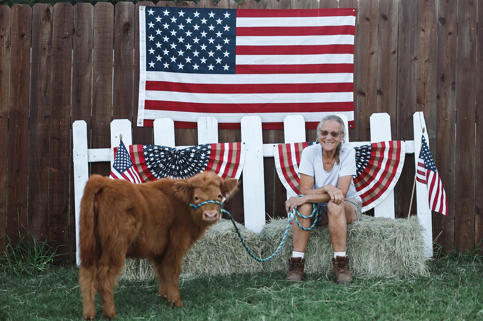 Miss Julie with highland cow
